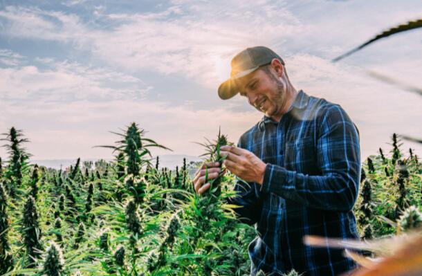 虽然空头广泛引用历史高估值但仍有便宜货