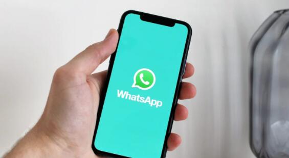 立即获取这项新的WhatsApp功能 这是启用它的方法