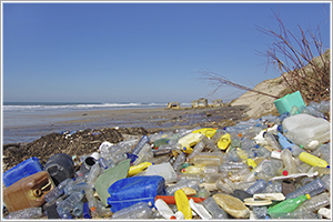 塑料废物管理规则违反; NGT向州和UTS发送通知