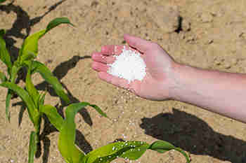 Shree Pushkar Chemicals引发了H酸植物的生产