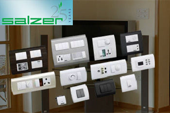 Salzer Electronics：Q4盈利可能获得