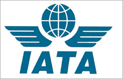 5月份空运需求增长减缓：IATA.