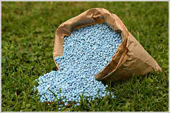 收到补贴的肥料行业遭受重大延误：K Ravichandran.