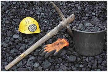 较低的进口煤炭依赖和受影响项目的关税救济为电力部门积极