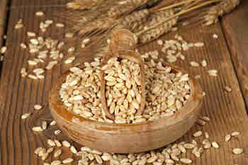 政府在小麦，Tur Dal上施加了10％的进口职责