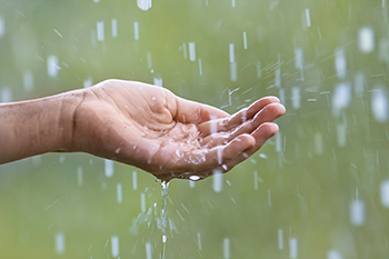 印度接受普通季风降雨以上