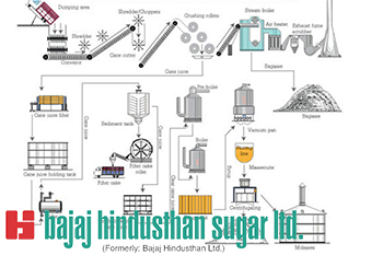 Bajaj Hindusthan糖股票在批准权力业务后
