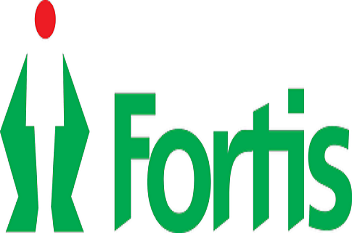 Fortis Healthcare Plinges超过10％