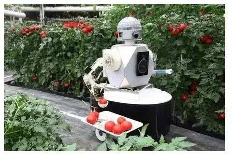 机器人正在改变农业的未来