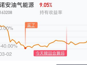 介绍一下诺安油气和华宝油气的区别