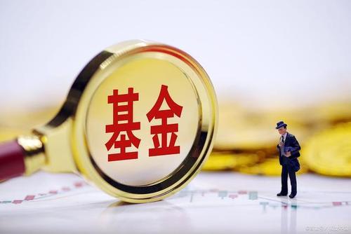 了解一下怎么算基金的上一周的涨幅