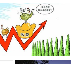 介绍一下基金定投一年收手续费吗