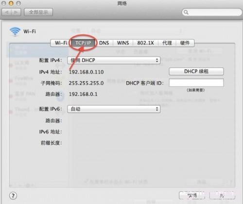 教大家苹果系统怎么修改IP地址