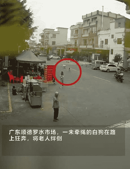 警方介入广东老人被狗绳绊倒身亡事件 后续进展如何
