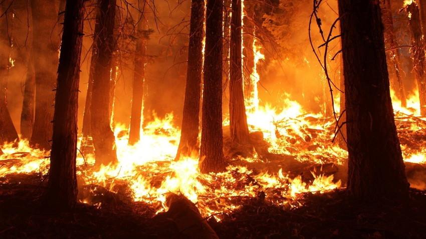 新的Google搜索地图工具可帮助跟踪加利福尼亚州的野火