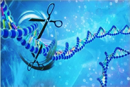 科技在线：一种在单细胞中高精度表征基因的新方法