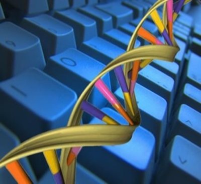 科技在线：试管DNA计算机计算出了900的平方根