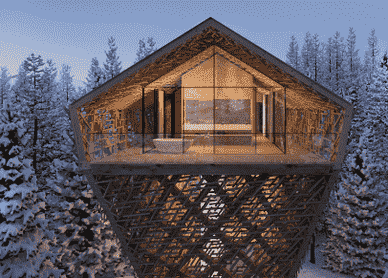 彼得皮克勒展示奥地利豪华木树套房的视觉效果