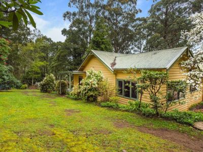 Mt Macedon住宅拥有私人森林和溪流