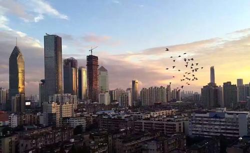 深圳市突然发布建立二手住房成交参考价格发布机制的通知