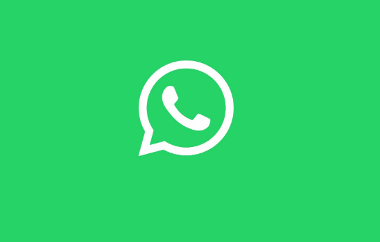 科技在线：更新WhatsApp以避免删除群组聊天的错误