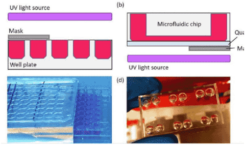 使用微流体装置可以更容易地对化妆品防晒剂和药物进行毒性筛查