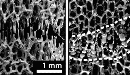 工程师开发出可在室温下愈合的骨状金属泡沫
