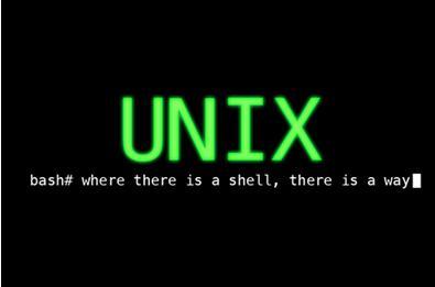 科技推荐：很明显Unix确实是标准操作系统