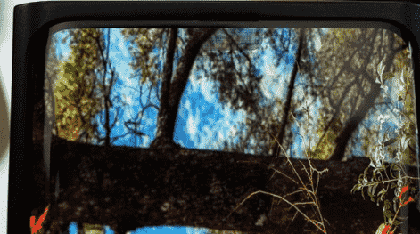 科技推荐：Oppo正式推出其屏下自拍相机挑战这一缺口的至高无上